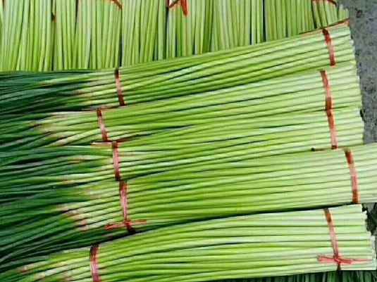 蒜苔冷库保鲜有什么技巧